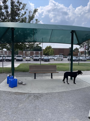 Tobey Dog Park